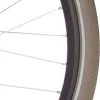 Cortina Buitenband Canberra 28 X 1.75 (47-622) Titanium Reflectie -Fietsenwinkel 894x1200 1